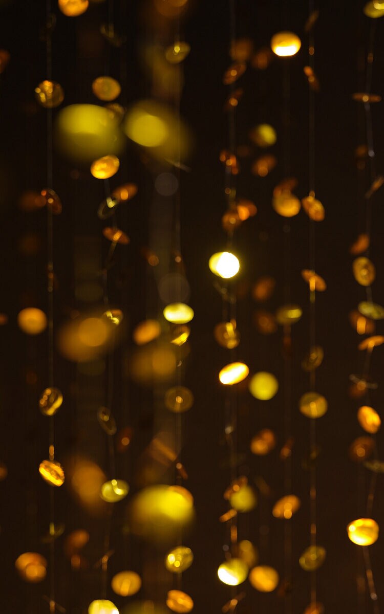 THE GIFT SEASON