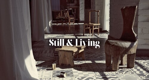 Still & Living