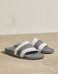 Slides
