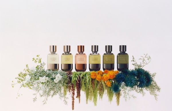 FRAGRANCES - COLLECTIONS