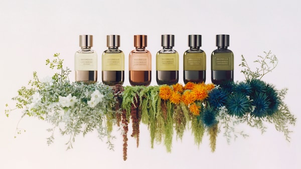 PARFUMS - Collections