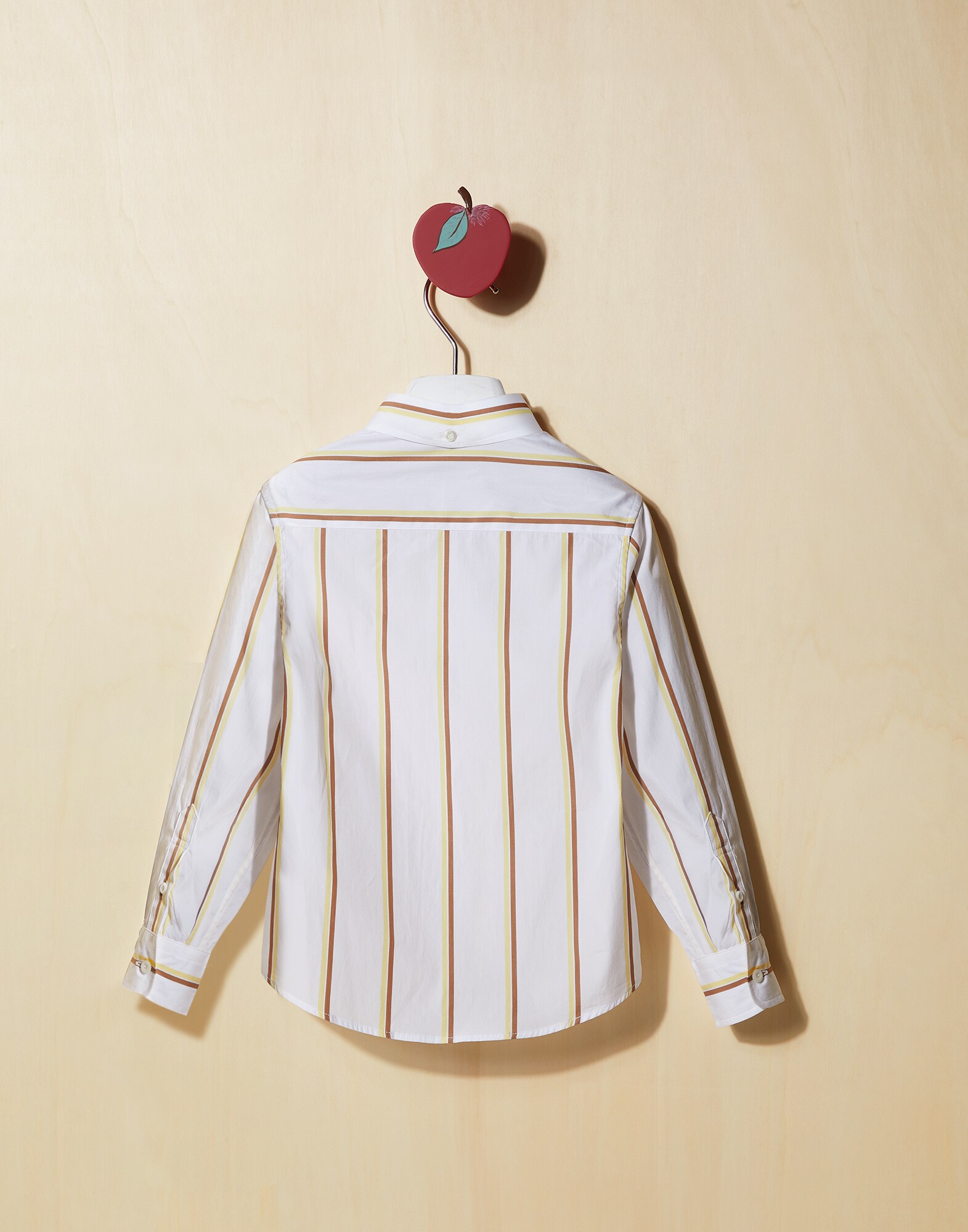 Shirt - Back view