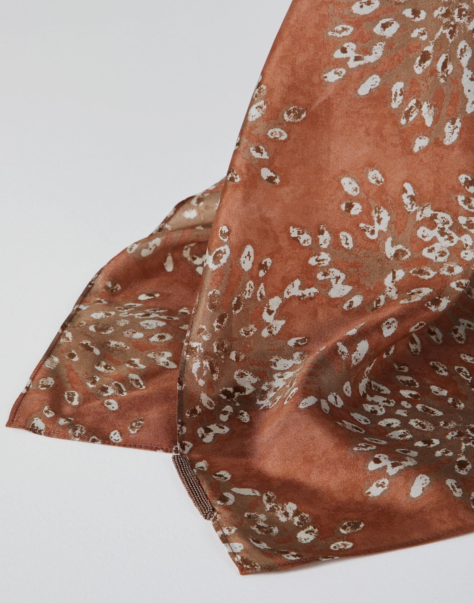 Special Accessories - Back view