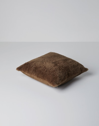Leather Cushions - Front view