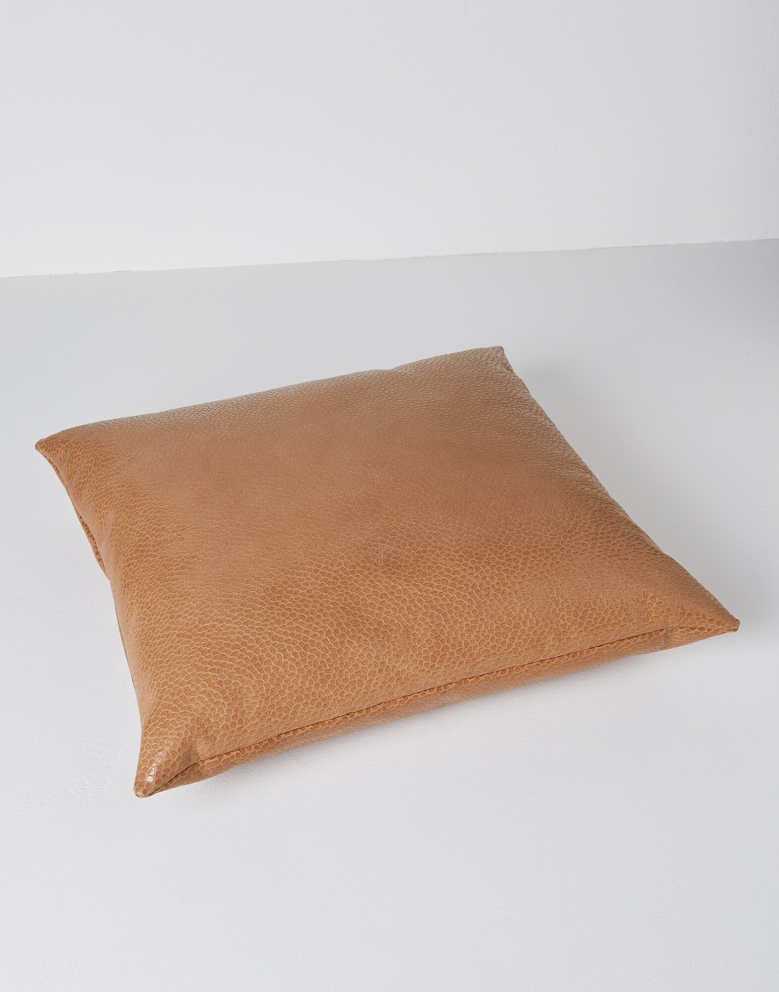 Leather cushion (202MLZBCL002C783301 