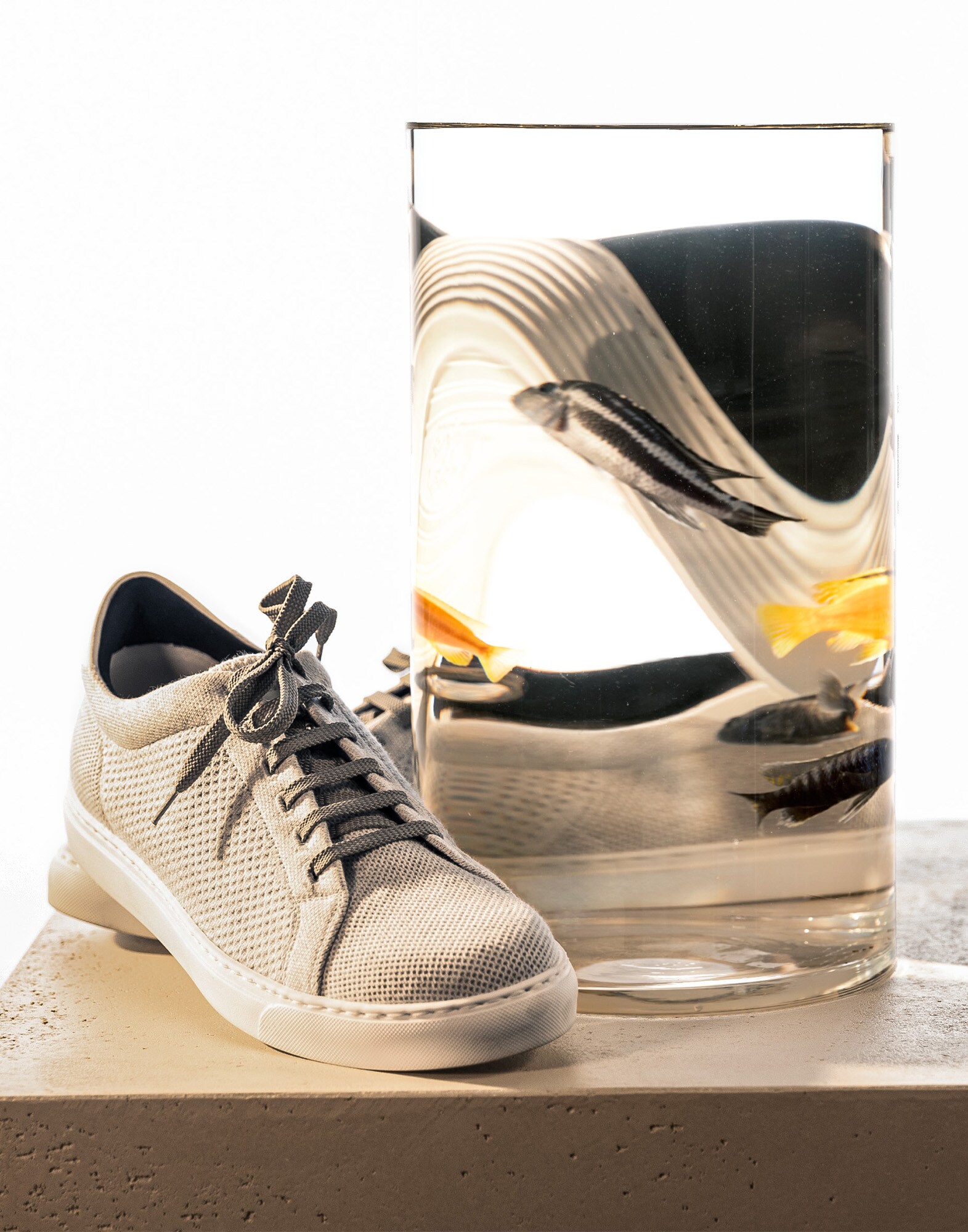 Sneakers - Editorial view