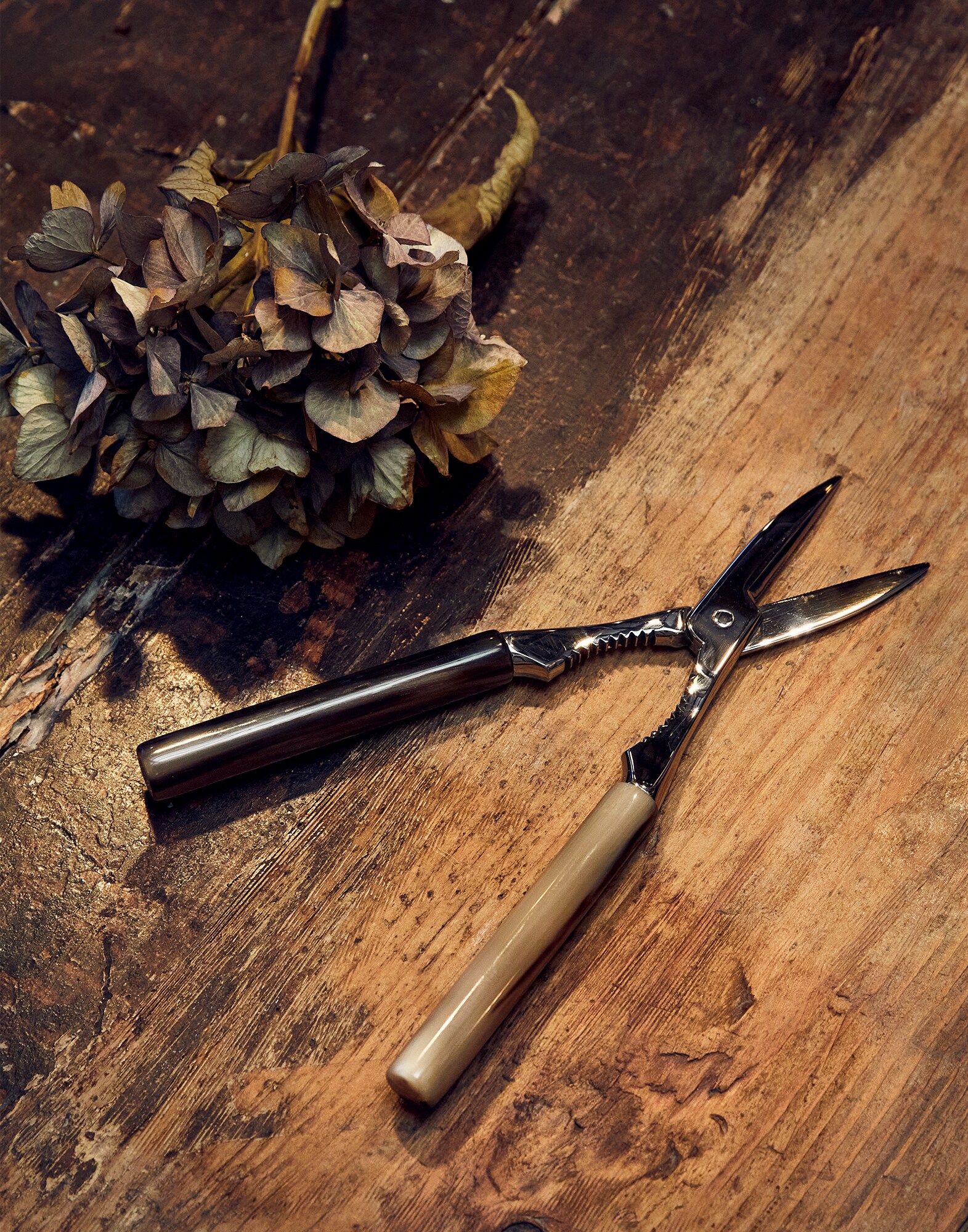 Accessoires Cuisine - Editorial